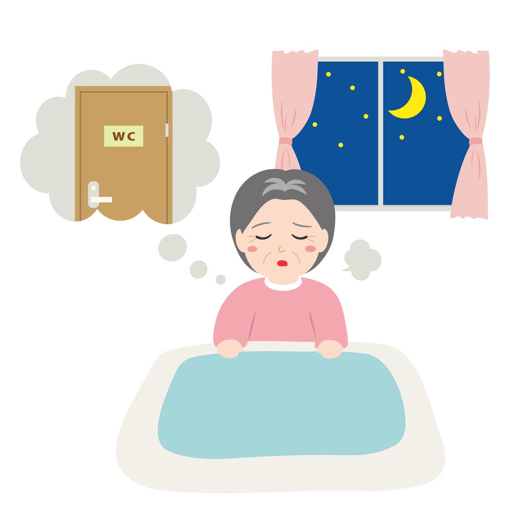 What Wakes You Up: Sunlight, Your Phone or the Need to Urinate?