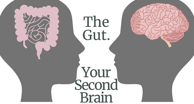 Appetite will be out of control. Everything is a good thing done by the brain.