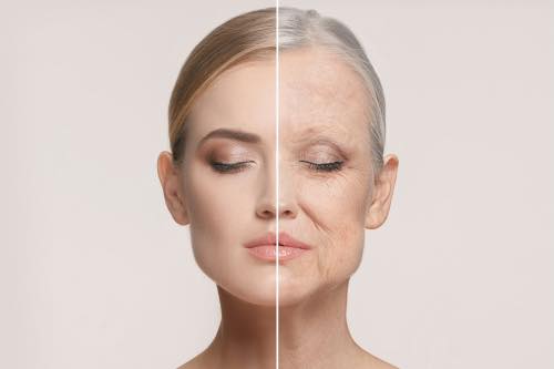 Glycation end products make you age faster