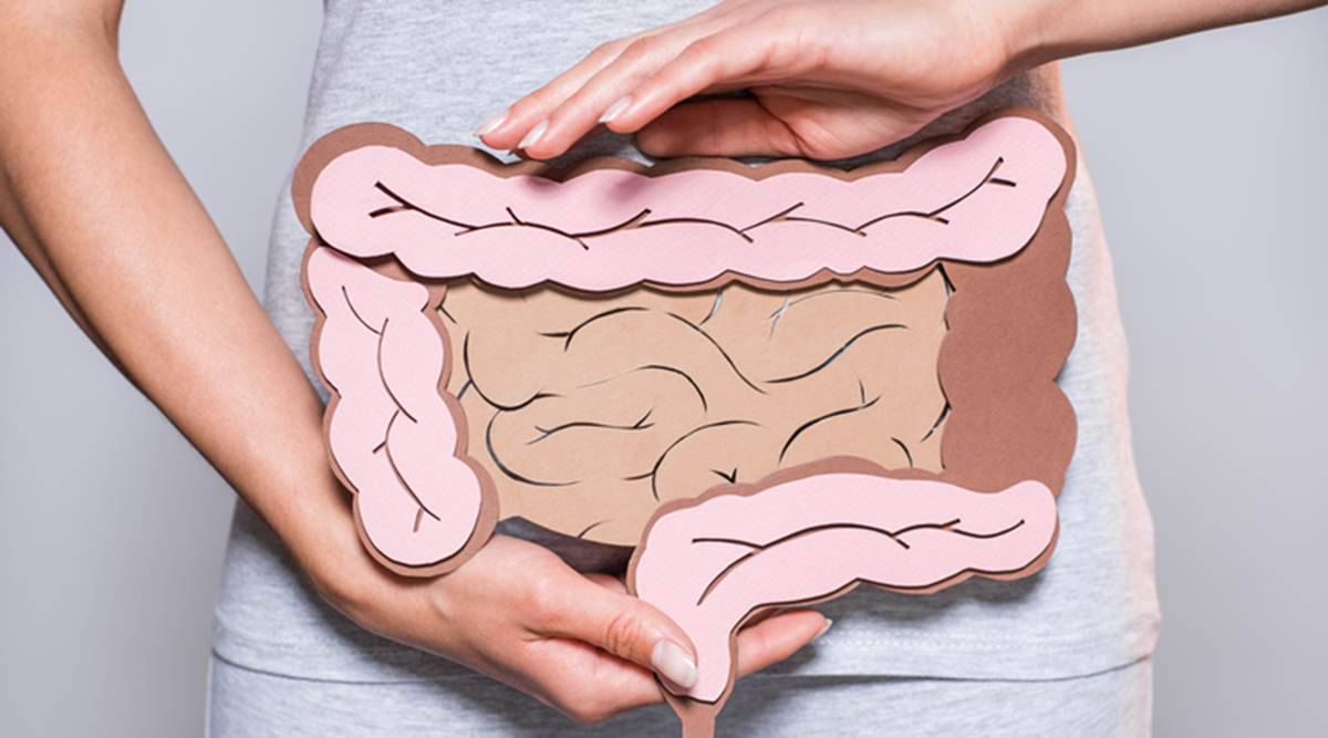 A diverse range of good bacteria live in your intestines, making your body lighter